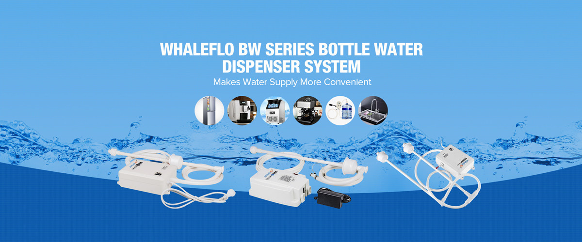 China best Whaleflo Flojet Bottle Water Dispenser on sales