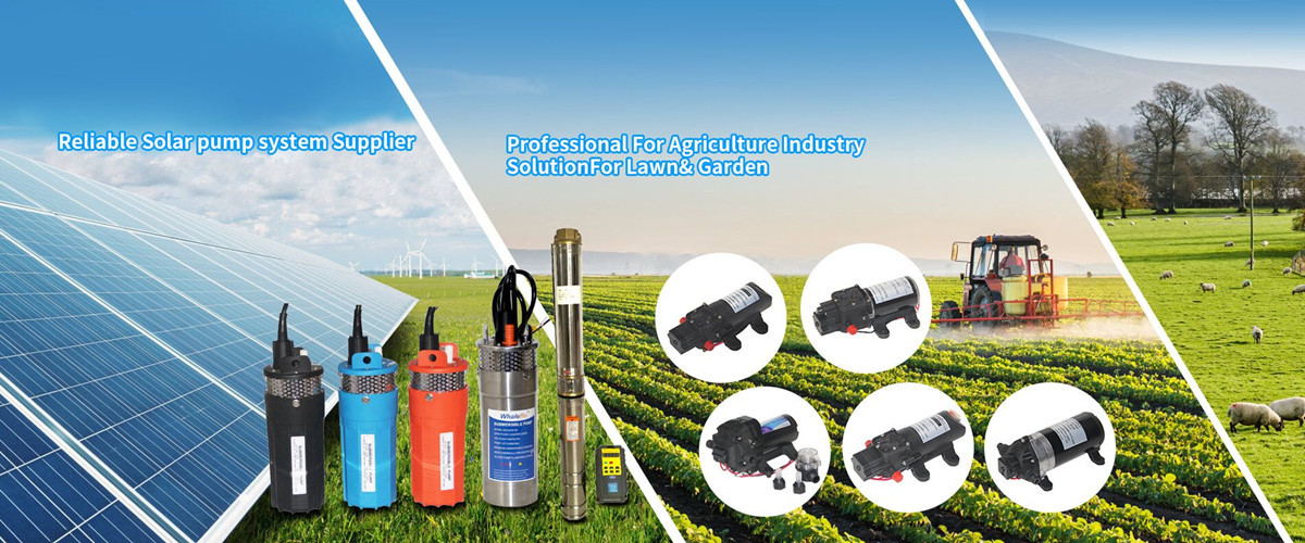 China best Self-Priming Diaphragm Pressure Pump on sales