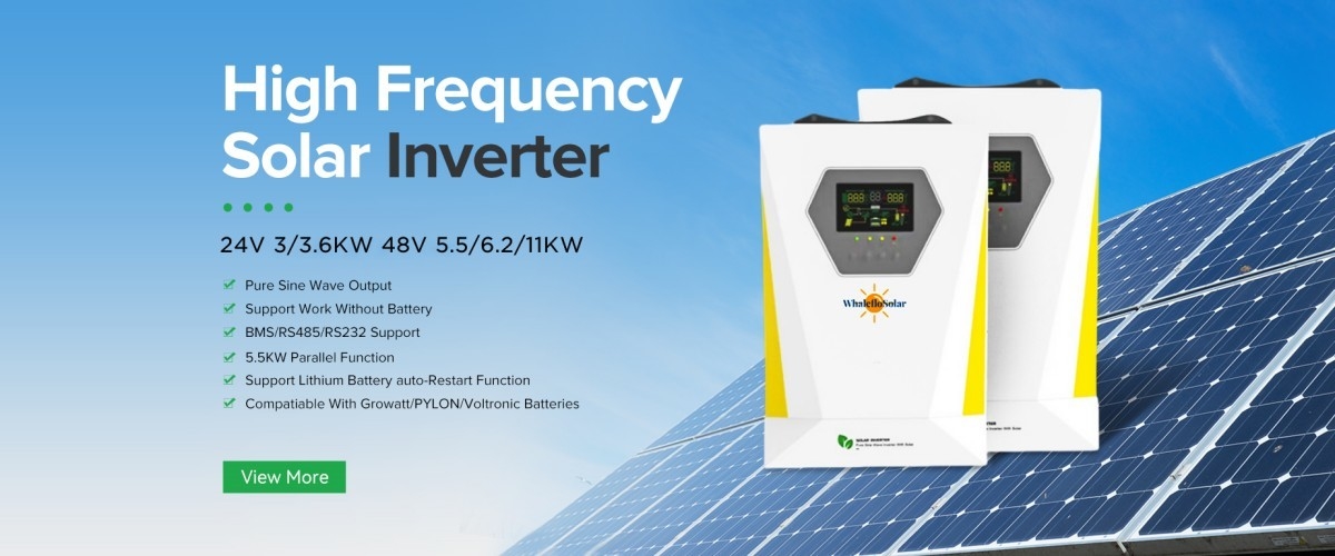 China best Whaleflo Inverter on sales