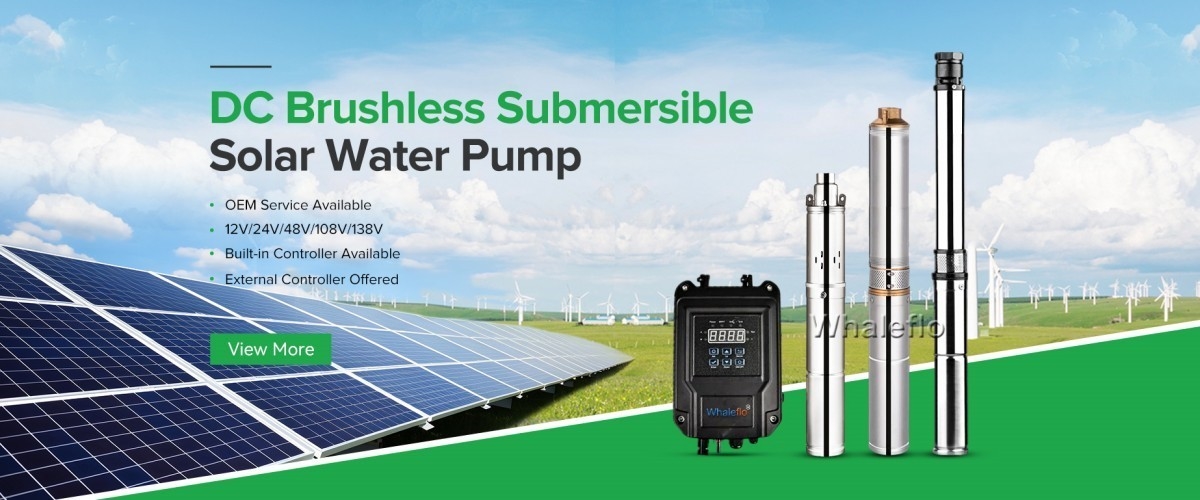 China best Brushless Solar Water Pump on sales