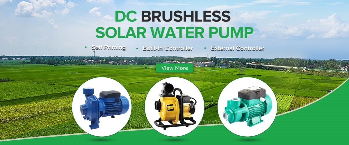 China best magnetic circulation pump on sales