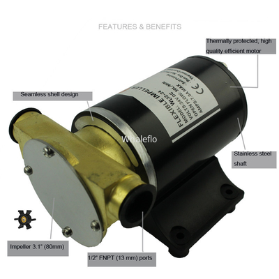 Whaleflo 24 volts DC 30LPM flexible impeller pump/engine cooling pump for boat/deck washdown pump