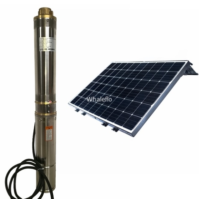 Whaleflo Farmland Irrigation Solar Pump 180W 5ton/Hour Solar DC Irrigation Water Pump Sand Resistant