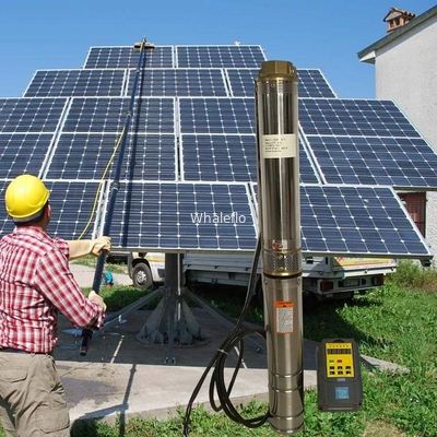 Whaleflo Farmland Irrigation Solar Pump 180W 5ton/Hour Solar DC Irrigation Water Pump Sand Resistant