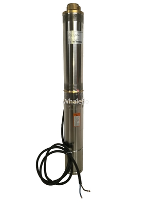 Whaleflo Farmland Irrigation Solar Pump 180W 5ton/Hour Solar DC Irrigation Water Pump Sand Resistant