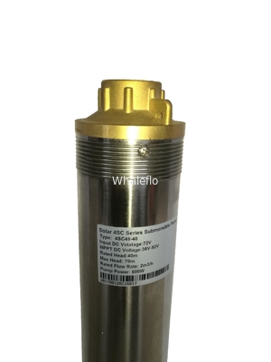 Whaleflo Farmland Irrigation Stainless Steel Solar Pump 250W 5ton/Hour Solar DC Irrigation Water Pump Sand Resistant