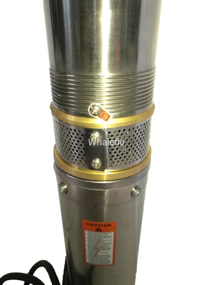 Whaleflo Farmland Irrigation Stainless Steel Solar Pump 250W 5ton/Hour Solar DC Irrigation Water Pump Sand Resistant