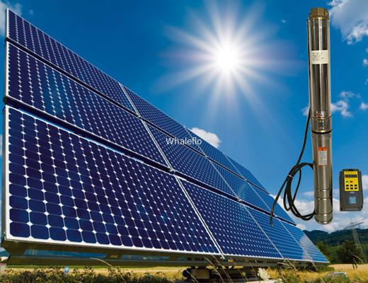 Whaleflo 3SH2.5/7-0.25 250W Head 21M 2.5ton/h solar water supply pump for agriculture