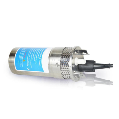 Whaleflo Flow 8/12/20LPM 12V/24V DC Submersible Solar Energy Water Pump for Outdoor Garden Deep Well Car Wash