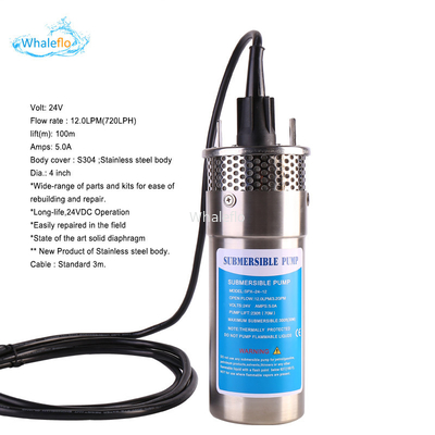 Whaleflo 24V dc solar water pump dc solar submersible pump with lift rate 100m and flow rate 12L/M for irrigation