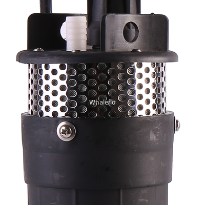 Whaleflo orange color 12v Solar Electric Submersible Water Pump System Cheap Plastic Price With 6.0LPM Flow Rate