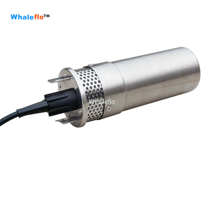 Whaleflo 720LPH 12V DC high quality portable deep well submersible solar water pump system