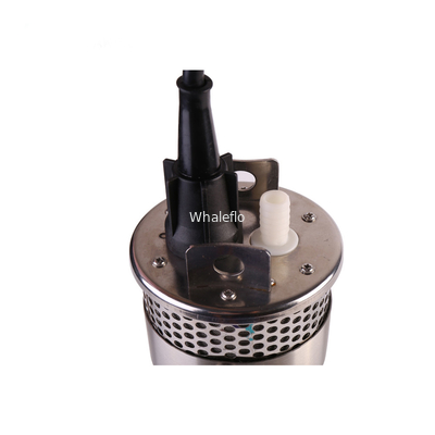 Whaleflo 24V DC portable electric submersible solar power water pump for irrigation
