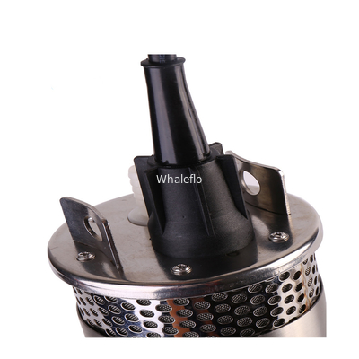 Whaleflo 24V DC portable electric submersible solar power water pump for irrigation