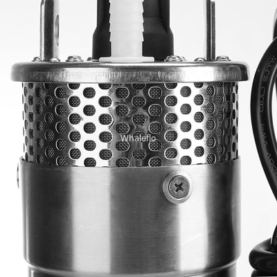 Whaleflo 24V DC mini deep well solar powered water pump for irrigation