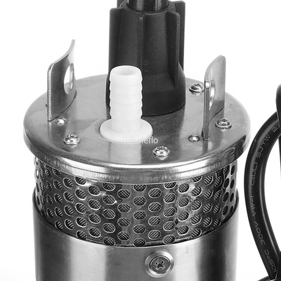 Whaleflo 24V DC portable electric submersible solar power water pump for irrigation