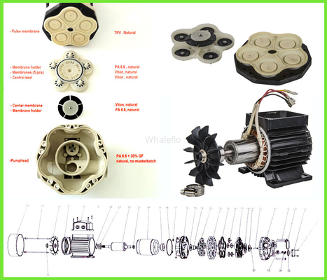 Whaleflo HV-30M 30LPM 230V AC Chemical continue working oil / urea solution pump for IBC system
