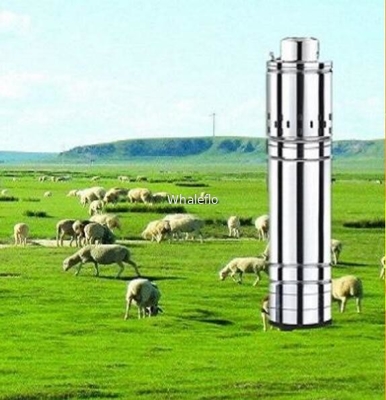 Whaleflo bldc solar submersible water pump for deep well 500W outlet port 1 inches maxi flow 2T/H maxi head