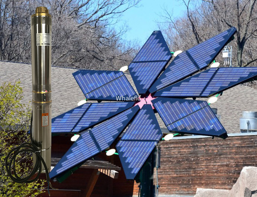 Whaleflo3SH1.5/14-0.37 Stainless Steel solar powered Brushless submersible deep well water pumps 370W rated flow1.5ton/H