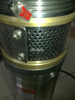 Whaleflo3SH1.5/14-0.37 Stainless Steel solar powered Brushless submersible deep well water pumps 370W rated flow1.5ton/H