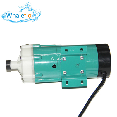 Whaleflo Self Priming AC/DC Magnetic Drive Pump Chemical Circulating Pump