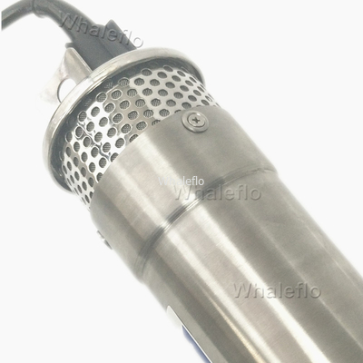Whaleflo 12LPM Submersible Deep Well Solar Powered Bore Water Pumps Factory Direct