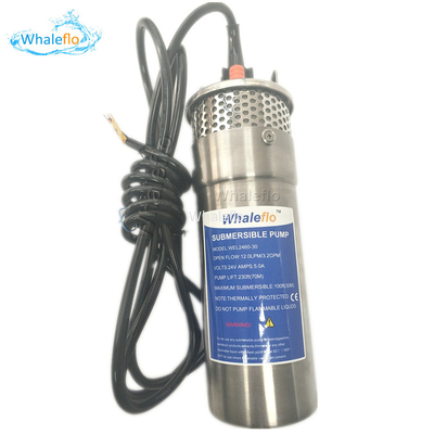 Whaleflo 12LPM Submersible Deep Well Solar Powered Bore Water Pumps Factory Direct