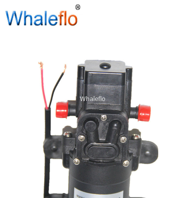 Whaleflo 3.8LPM 35PSI 24V small self-priming 1.2M suction diaphragm water pump