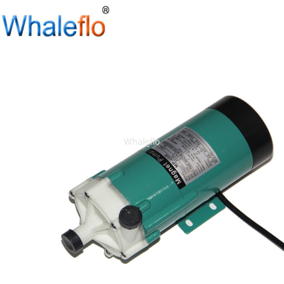 Whaleflo  AC 110/230V Homebrew Circulation Electrical Mini Magnetic Water Pump for Beer