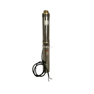 Whaleflo 2T/H Dc Motor 24V Household Solar Powered Submersible Centrifugal Water Pumps Pond Water Pump