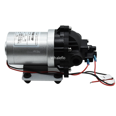 Whaleflo 24V DC Brushless 5Lpm Self Priming Diaphragm Water Pump For RV Water Supply Soutions