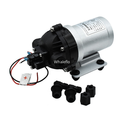 Whaleflo 24V DC Brushless 5Lpm Self Priming Diaphragm Water Pump For RV Water Supply Soutions