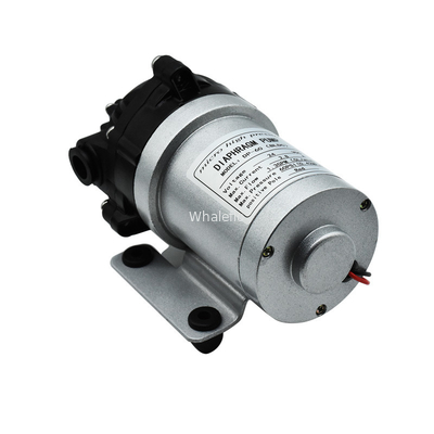 Whaleflo 24V DC Brushless 5Lpm Self Priming Diaphragm Water Pump For RV Water Supply Soutions