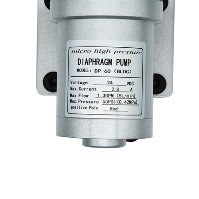 Whaleflo 24V DC Brushless 5Lpm Self Priming Diaphragm Water Pump For RV Water Supply Soutions
