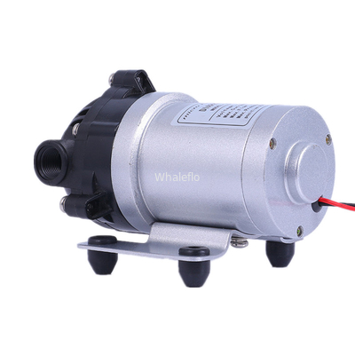 Whaleflo 24V DC 60PSI 5LPM Brushless Self-Priming Household water supply Diaphragm Water Pump