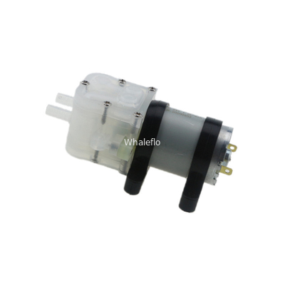 Whaleflo 12V Mini Food Grade Humidifier Landscape Circulating Spray Coffee Soft Drink Water Pump