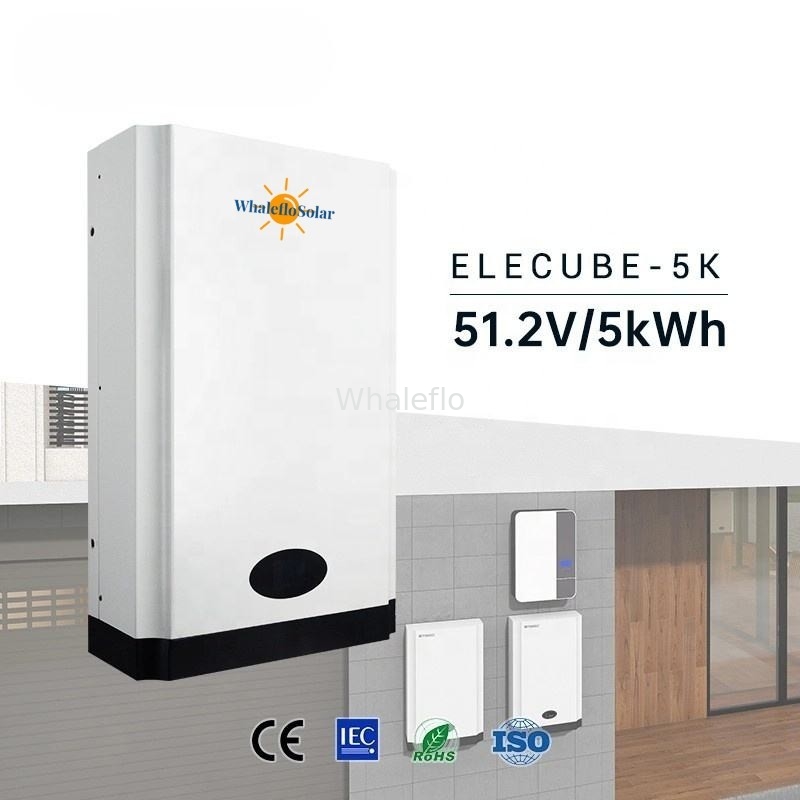 Whaleflo Solar Elecube 100Ah 48V 5.1kwh Wall-Mounted Home Energy Storage Lithium Battery With LED Display