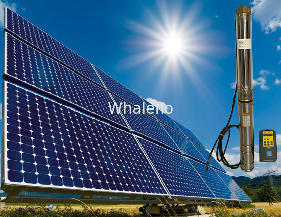 Whaleflo 3SH2.5/7-0.25 250W Head 21M 2.5ton/h solar water supply pump for agriculture