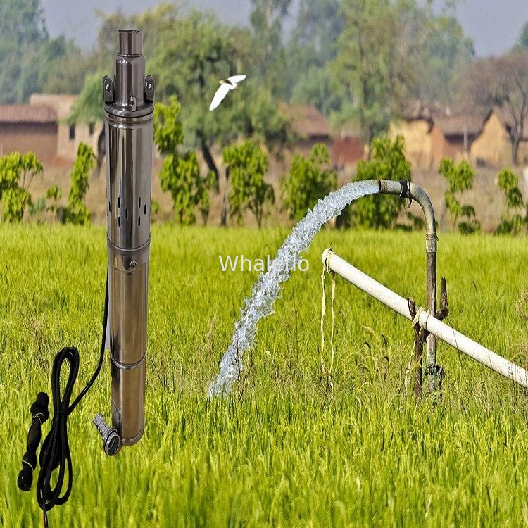 Whaleflo bldc solar submersible water pump for deep well 500W outlet port 1 inches maxi flow 2T/H maxi head