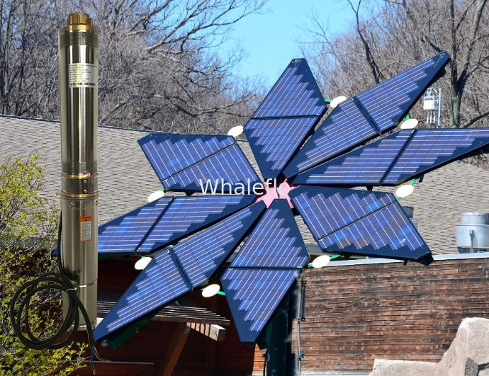 Whaleflo3SH1.5/14-0.37 Stainless Steel solar powered Brushless submersible deep well water pumps 370W rated flow1.5ton/H