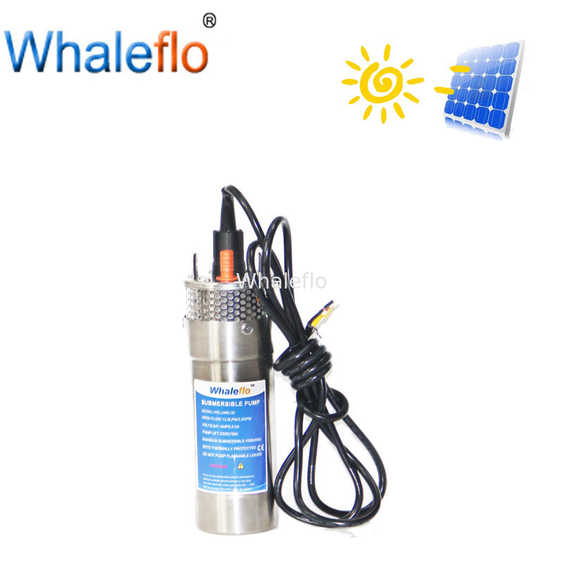 Whaleflo 12V Solar Pump 720LPH Battery Powered Agricultural Spray Irrigation Water Pumps for Deep Well