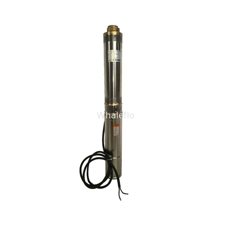 Whaleflo 600W Household 48V Solar Photovoltaic Water Pump 4T/H