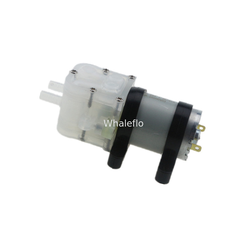Whaleflo 12V Mini Food Grade Humidifier Landscape Circulating Spray Coffee Soft Drink Water Pump